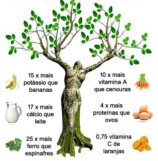 MORINGAMoringatuga-moringa__1_.jpg