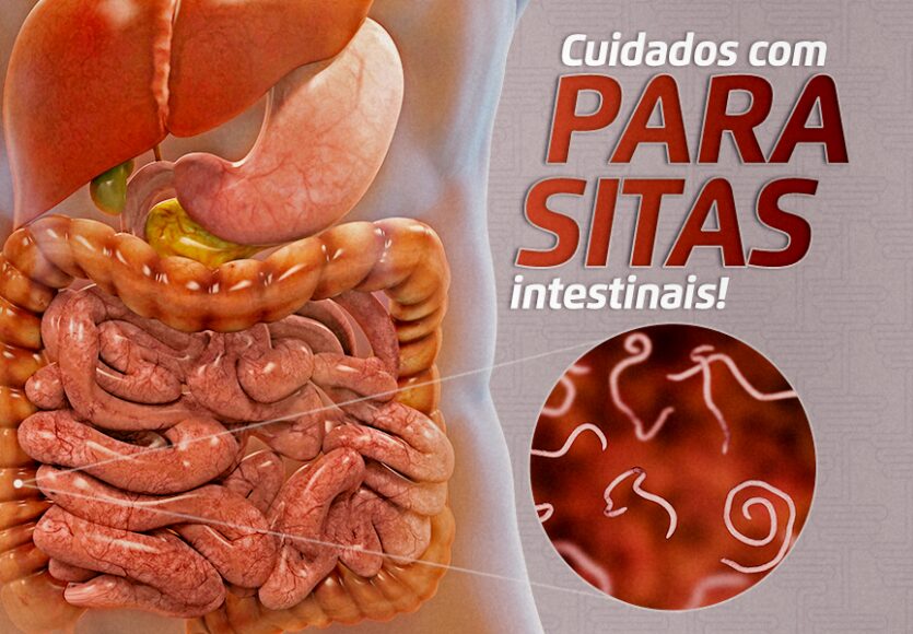 Parasitas3c8ce9af5eb3ad15a1751958c90c0e20-1.jpg